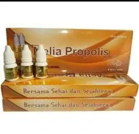 Melia propolis 6ml