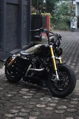 Sportster 48 tahun 2012 fp