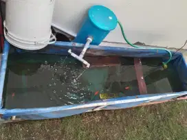 KOLAM TERPAL IKAN atau LAT