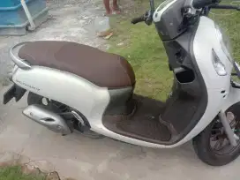 scoopy 2024 putih