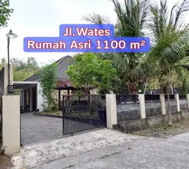 Rumah Tanah Luas Jalan Wates 1000 Meter Pedesaan