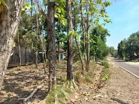 TANAH PEKARANGAN JATI DIJUAL  HADAP JALAN UTAMA DPU DI SUKOHARJO