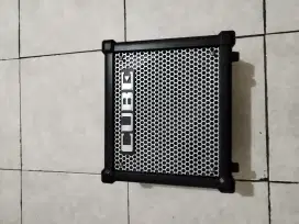 Roland Cube 10GX