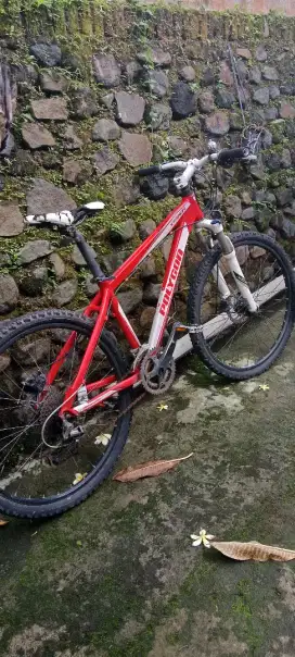 Polygob MTB Xtrada 4.0