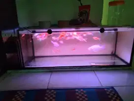 Aquarium filter samping