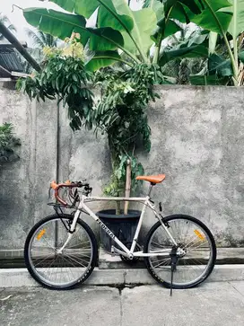 Sepeda Commuter Road Bike Federal City Cat MG40