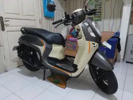 Honda scoopy 2024