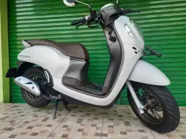 Honda scoopy prestige tahun 2024