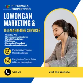 Digital marketing / Telemarketing