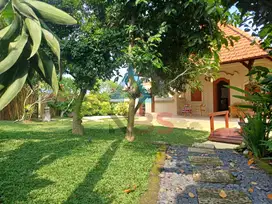 DIJUAL VILLA BESAR LOKASI DI UBUD GIANYAR,VIEW SAWAH JUNGLE KEMENUH