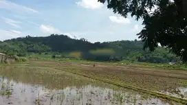 tanah sawah mainroad jln raya cipatik pataruman soreang