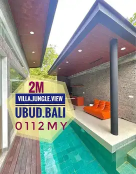 For sale Freehold Villa jungle view Mas Ubud Gianyar Bali