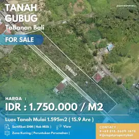 Tanah Dijual Murah di Gubug, Tabanan Bali