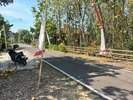 TANAH PEKARANGAN DIJUAL BONUS KAYUJATI SIAP PANEN DI GROGOL POLOKARTO