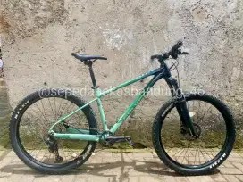 MTB/Sepeda Gunung Polygon Xtrada 6