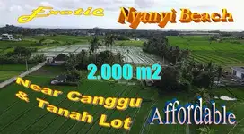 Magnificent Property 2,000 sqm in Kediri Tabanan