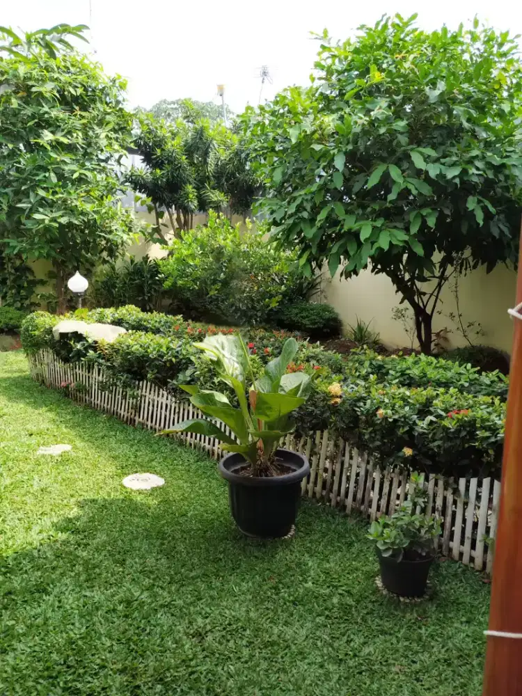 Rumah Murah Luas Siap Huni SHM