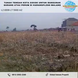 TANAH SAWAH SETRATEGIS HARGA ISTIMEWA DI KARANGPLOSO KABUPATEN MALANG.