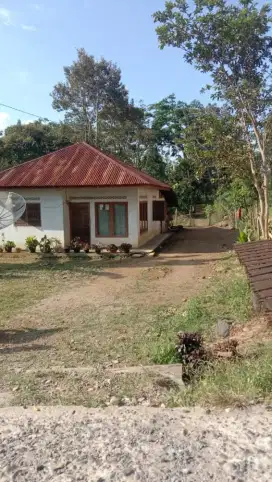 Dijual Rumah dan kebun beserta isinya