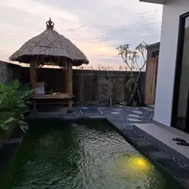 Jual Villa New View Sawah Di Kediri Tabanan Bali.T Lot,Canggu,Pantai