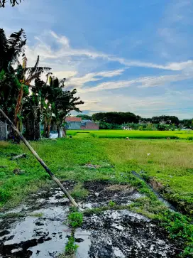 Dijual tanah kavling kuripan purwodadi grobongan