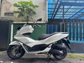 Pcx 160 2023 Putih F kota