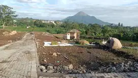 Tanah Murah  Prigen