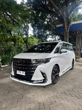 Alphard Hev Modelista 2024