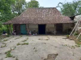 Dijual sawah dan tanah pekarangan