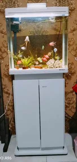 Aquarium boyu 45 L set aquarium dan kabinet 520 m