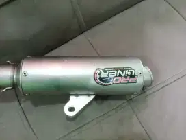 Proliner ori mulus