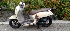 Scoopy 2021 top condition