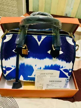 Tas Louis Vuitton NEW