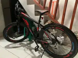 PACIFIC BIKE INVERT