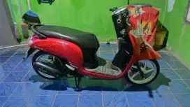 Honda scoopy donat