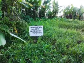 DIJUAL TANAH 162 M²