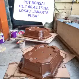 pot bonsai semen besar.