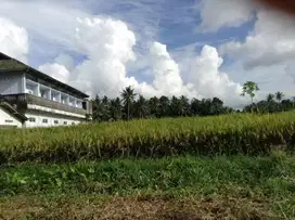 JUAL TANAH SAWAH GULON MUNTILAN KAB MAGELANG