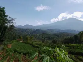 Di Jual Tanah di Linggar Jati Kaki Gunung Ciremai Jl eraten linggajati