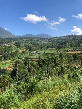 Tanah Baturiti Tabanan Bali