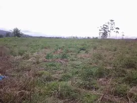 Ladang subur seluas 50 hektar