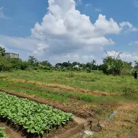 Kav Strategis Komersial/Perumahan Di Way Kandis,Tanjung Senang Lampung