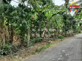 Dijual Tanah Kering Murah di Kalipuro - Banyuwangi