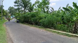 Jual Tanah Di Jl. Raya Kiarapedes Purwakarta