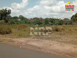 Dijual Tanah Sangat Luas di Lateng - Banyuwangi