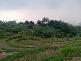 Tanah sawah produktif view pegunungan air subur