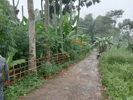 Di jual tanah kebun pinggir jln desa, lokasi cikubang smd