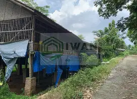 Tanah Dengan Muka 130m + Kandang Murah Dekat Jalan DPU