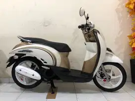 Honda Scoopy 2010 pajak plat baru!!