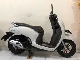 Honda Scoopy Prestige 2022 White!!